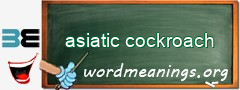 WordMeaning blackboard for asiatic cockroach